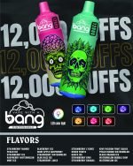 Bang 12000 Puffs Einweg-Vape