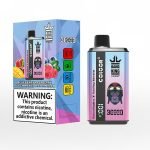Sleek-vape-Bang-king-30000-Puffs-Blueberry-Raspberry-Peach-Mango-Watermelon