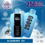 bang-25000-puffs-blueberry-iceiflavor