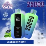 bang-25000-puffs-blueberry-mint-flavor