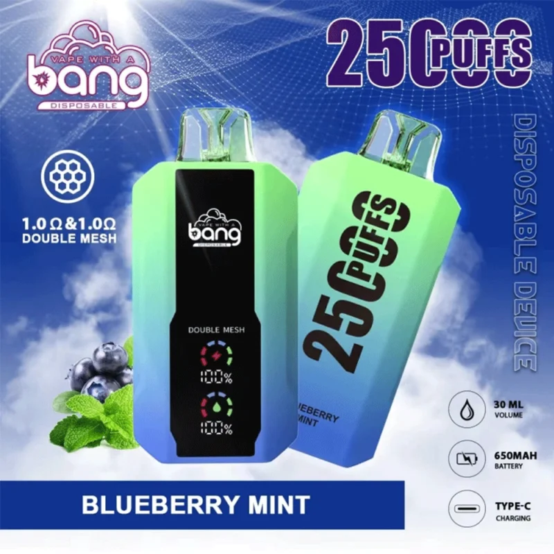 bang-25000-puffs-heidelbeer-minze-geschmack