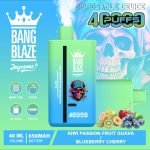 Bang Blaze 40000 Puffs Einweg Vape - Geschmack 12 Produkt-Image