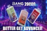 Bang Leader Puffs Display 3flavor Picture