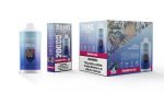 Bang Leader Puffs Flavor Blueberry Ice Picture Disposable Vape Device