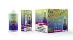Bang Leader Puffs Flavor Blueberry Mint Picture Disposable Vape Device