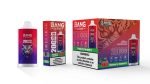 Bang Leader Puffs Flavor Blueberry Raspberry Picture Disposable Vape Device