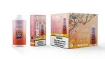 Bang Leader Puffs Flavor Mango Peach Picture Disposable Vape Device