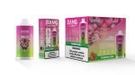 Bang Leader Puffs Flavor Strawberry Kiwi Picture Disposable Vape Device