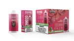 Bang Leader Puffs Flavor Watermelon Ice Picture Disposable Vape Device