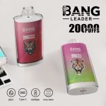 bang-leader-20000-puffs-main-picture