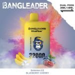 Bang Leader Puffs Banana Ice Blueberry Cherry Flavor Picture Disposable Vape Device
