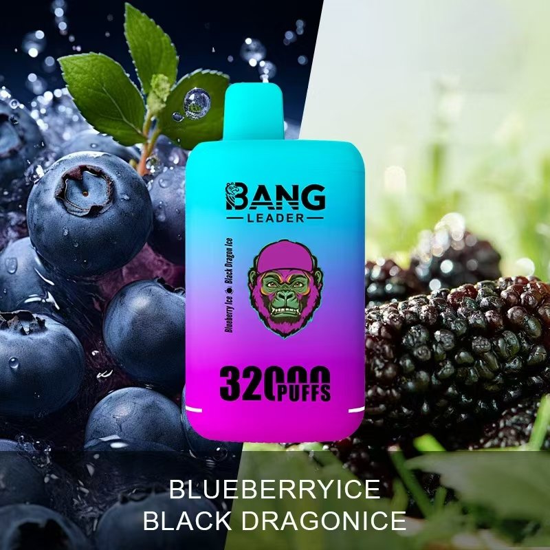 bang-leader-32000-puffs-blueberry-ice-black-dragon-ice-flavor-picture