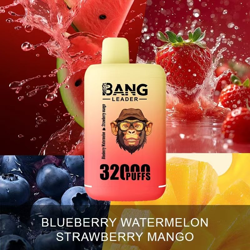 bang-leader-32000-puffs-heidelbeer-wassermelone-erdbeer-mango-geschmack-bild