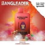 Bang Leader Puffs Cola Ice Cherry Cranberry Flavor Picture Disposable Vape Device
