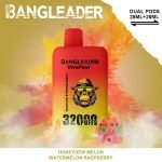 Bang Leader Puffs Honeydew Melon Watermelon Raspberry Flavor Picture Disposable Vape Device
