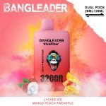 Bang Leader Puffs Lychee Ice Mango Peach Pineapple Flavor Picture Disposable Vape Device