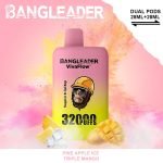 Bang Leader Puffs Pine Apple Ice Triple Mango Flavor Picture Disposable Vape Device
