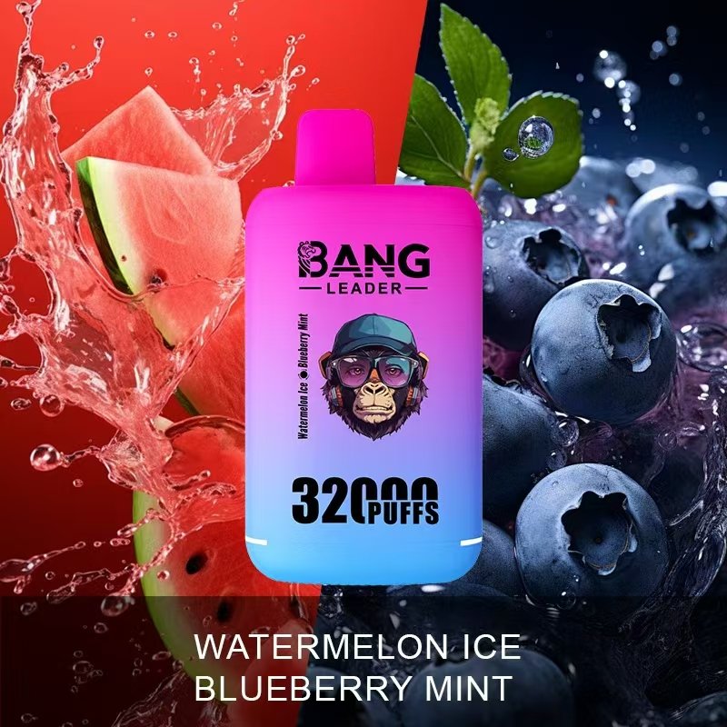 bang-leader-32000-puffs-waterlon-ice-blueberry-mint-flavor-picture