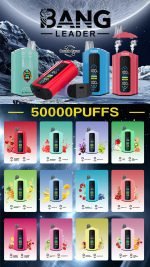 Bang Leader Puffs All Flavor Display Picture Scaled