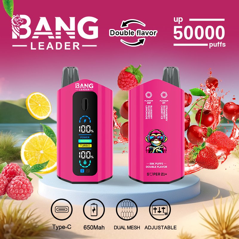 bang-leader-50000-puffs-blaubeer-himbeer-zitrone-erdbeer-himbeer-kirsch-eis-geschmack-bild