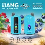bang-leader-50000-puffs-blueberry-sour-raspberry-flavor-picture