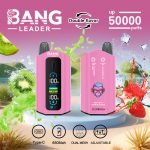 Bang Leader Puffs Strawberry Kiwi Ice Flavor Picture Disposable Vape Device