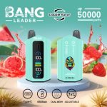 Bang Leader Puffs Watermelon Strawberry Flavor Picture Disposable Vape Device