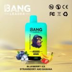 Vape Bang Leader 45k Puffs Blueberry Ice Strawberry And Banana