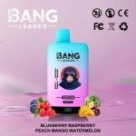 Vape Bang Leader 45k Puffs Blueberry Raspberry Peach Mango Watermelon