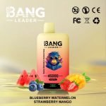 Vape Bang Leader 45k Puffs Blueberry Watermelon Strawberry Mango