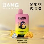 Bang Leader 45000 Puffs Dual-Kammer Einweggerät - Typ-C wiederaufladbar