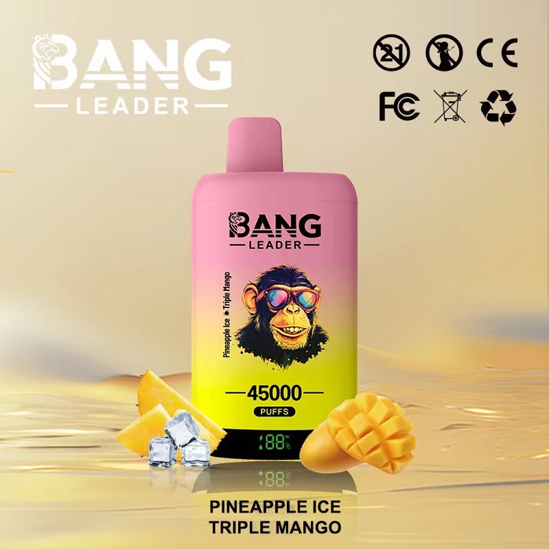 Bang Leader 45000 Puffs Dual-Kammer Einweggerät - Typ-C wiederaufladbar