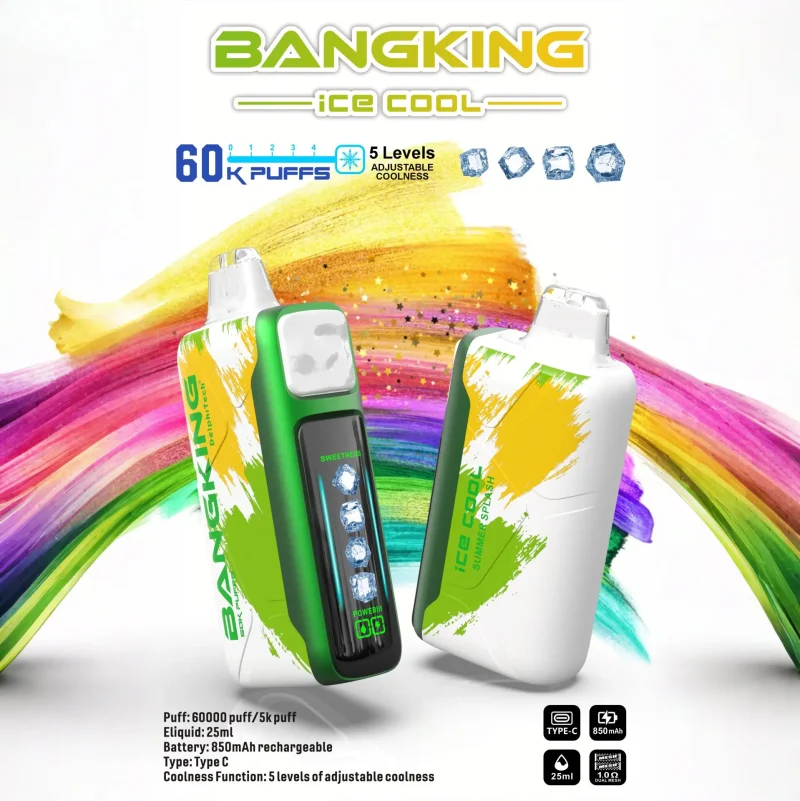 Bang King Ice Summer Splash.jpg Disposable Vape Device