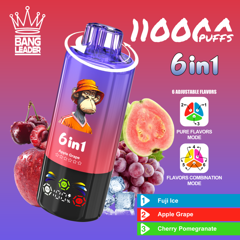 Bang Leader Puffs 6 In 1 Flavor Fuji Ice Apple Grape Cherry Pomegranate Disposable Vape Device