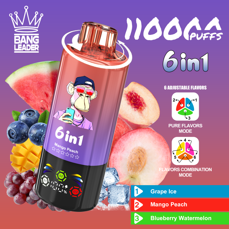 Bang Leader Puffs 6 In 1 Flavor Grape Ice Mango Peach Blueberry Watermelon Disposable Vape Device