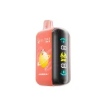 elf-bar-rayad3-disposable-vape-25000-puffs-watermelon-ice