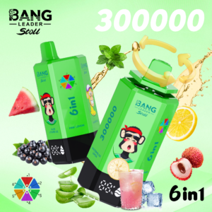 bang-leader 300000-aloe lychee-ice-pink lemon-glacier-ice-Pine needle mint-black-currant-ice-watermelon-emon