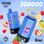 bang-leader-300000-watermelon-ice-mixed-berries-apple-pear-blueberry-mint-summer-time-peach