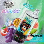 bang-leader-stoll-100k-100000-puffs-grape-burstlychee-ice-peach-berry-kiwi-fruit-passua-fruit-guava.jpg