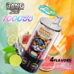 bang-leader-stoll-100k-100000-puffs-lemon-lime-watermelon-ice-black-dragon-ice-dragon-fruit-strawberry-love-666.jpg