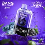 bang-leader-stoll-120k-120000-puff-blueberry-ice-black-currant.jpg