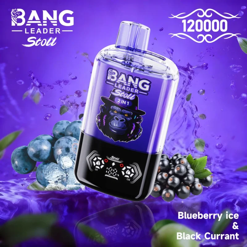 bang-leader-stoll-120k-120000-puff-blueberry-ice-black-currant.jpg
