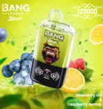 bang-leader-stoll-120k-120000-puff-blueberry-ice-raspberry-lemon-654x690.jpg