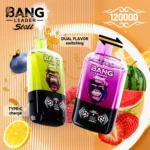 bang-leader-stoll-120k-120000-puff-main-image.jpg