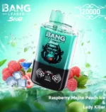 bang-leader-stoll-120k-120000-puff-raspberry-mojito-peach-ice-lady-killer-654x690.jpg