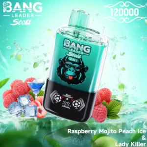 bang-leader-stoll-120k-120000-puff-raspberry-mojito-peach-ice-lady-killer-654x690.jpg