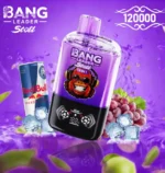 bang-leader-stoll-120k-120000-puff-red-energy-grape-ice-654x690.jpg