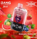 bang-leader-stoll-120k-120000-puff-watermelon-bubble-gum-miexd-fruit-654x690.jpg