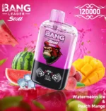 bang-leader-stoll-120k-120000-puff-watermelon-ice-peach-mango-654x690.jpg