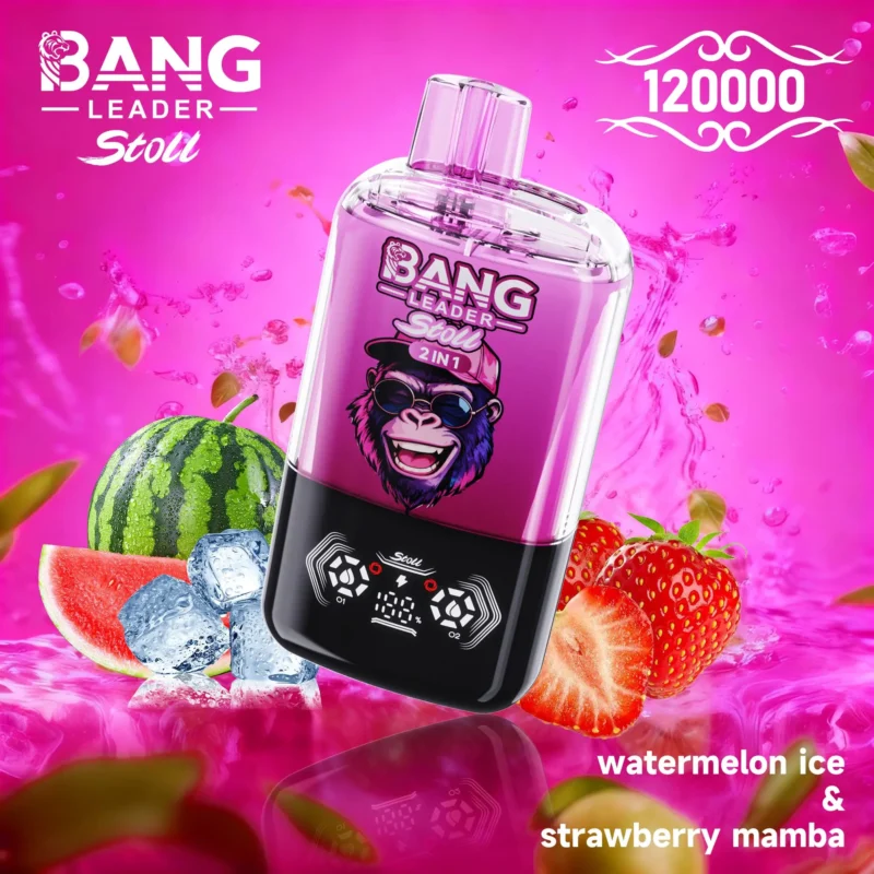 bang-leader-stoll-120k-120000-puff-sandía-hielo-arándano-mamba.jpg
